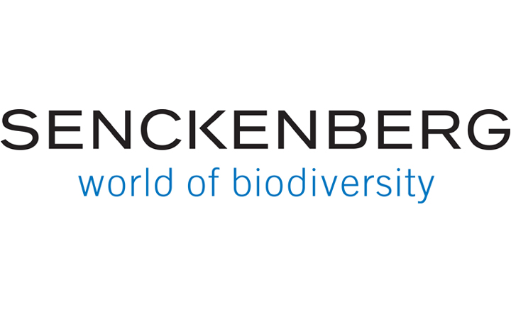Logo Senckenberg Forschungsinstitute und Naturmuseum